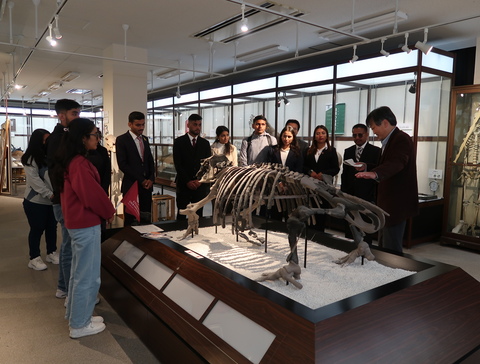 6.At the museum